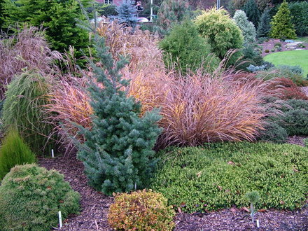 Foxhollow, Garden in Autumn