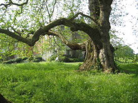 mottisfont_abbey_for_goy_-_14.jpg