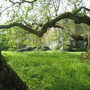 Mottisfont_abbey_for_goy_-_15