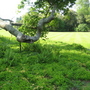 Mottisfont_abbey_for_goy_-_16