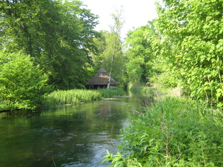 mottisfont_abbey_for_goy_-_17.jpg
