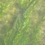 Mottisfont_abbey_for_goy_-_20