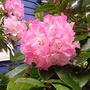 Pict0253
