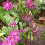 Pict0255