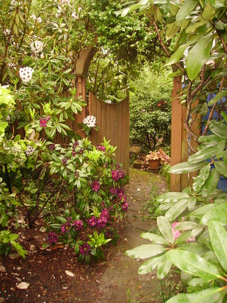 gate to the patio and back garden