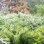 Pict0259