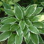 June_5th_2008_013