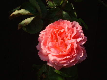 June_5th_2008_002.jpg