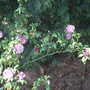 June_5th_2008_021