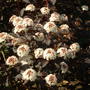 June_5th_2008_026