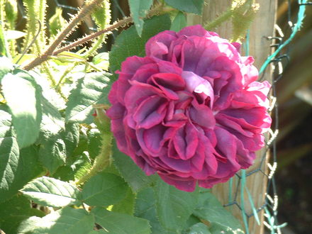 June_5th_2008_030.jpg