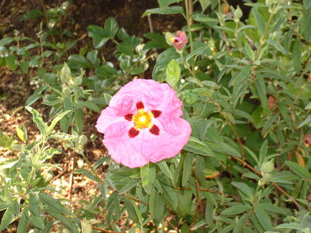 June_5th_2008_024.jpg