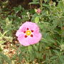 June_5th_2008_024