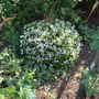 June_5th_2008_043