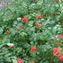 June_5th_2008_004
