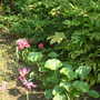 June_5th_2008_016