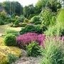 Garden_view