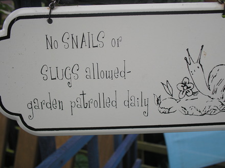 My New sign