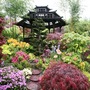 Buddha_16_may