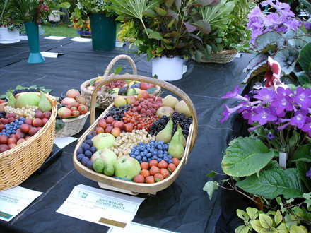 Shrewsbury flower show 2007