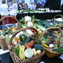 2007_shows_day_1_shrewsbury_030