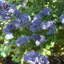 Dsc03421