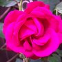Picture_071