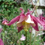 Dsc03445
