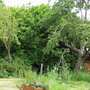 Picture_069
