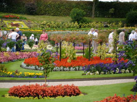 Shrewsbury flower show 2007