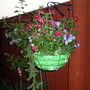 Garden_004