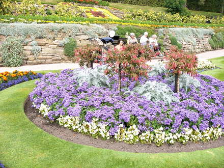 Shrewsbury flower show 2007