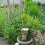 Front combined garded June 2008