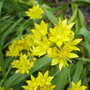 100_0740.jpg