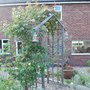 Rose_and_clematis_montana_arch