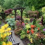Bottom_garden_may_08