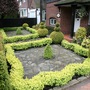 Front garden June 08