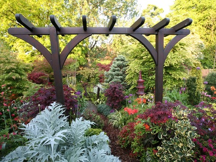 Pergola in bottom garden May 08