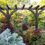 Pergola in bottom garden May 08