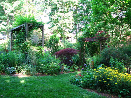 photo taken 6-7-08