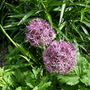 Dscn1746