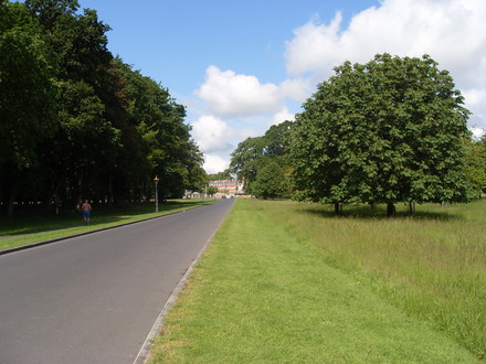 phoenix park dublin