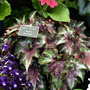 Imag0022