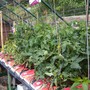 Picture_072