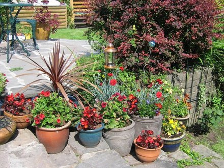 Pots
