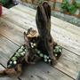 2 bits of drift wood frm New Zealand