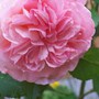 100_3187.jpg