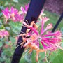 100_3168.jpg