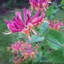 100_3169.jpg