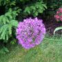 100_3166.jpg